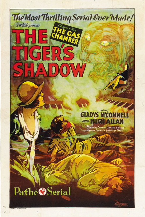 The Tiger's Shadow Poster