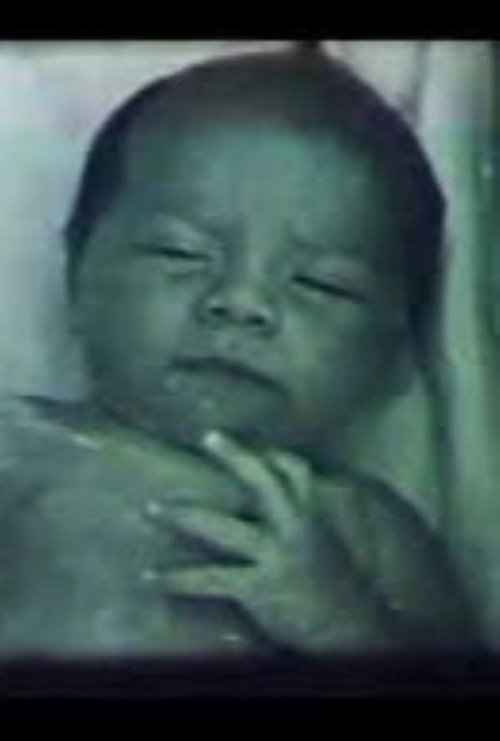 Harmonia dos Contrastes Poster