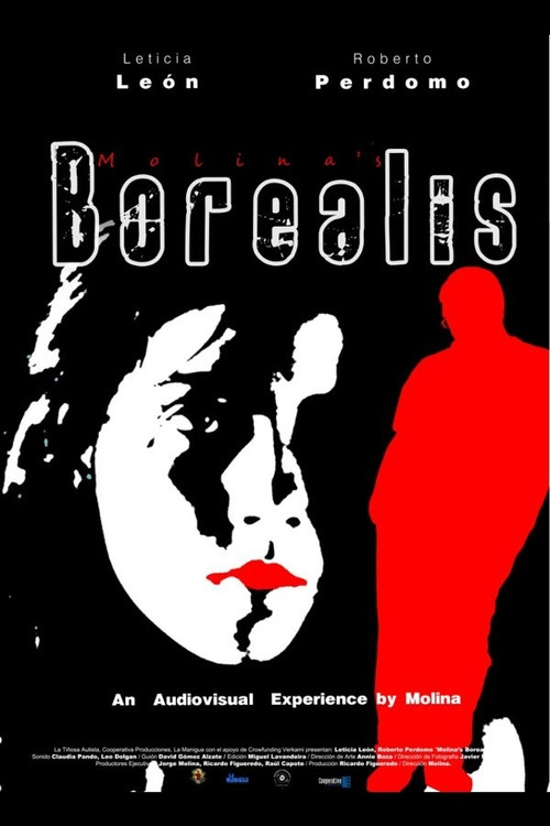 Molina's Borealis Poster