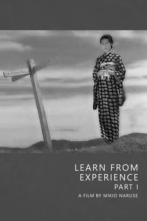 Learn from Experience, Part One Poster