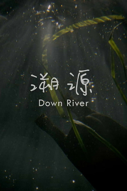 Down River Poster