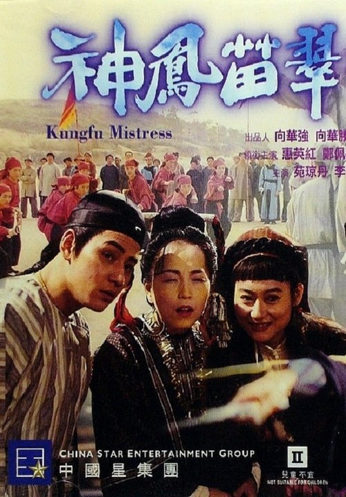 Kung Fu Mistress Poster