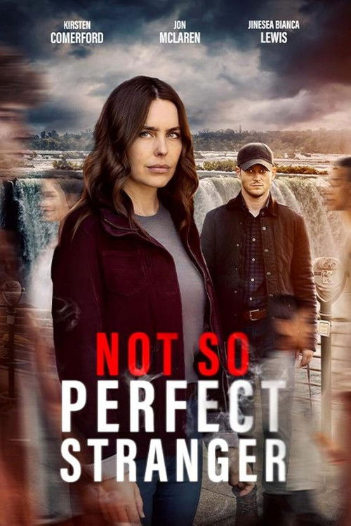 Not So Perfect Stranger Poster