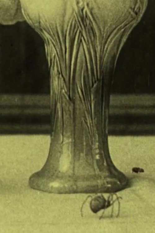 The Spider and the Fly Poster