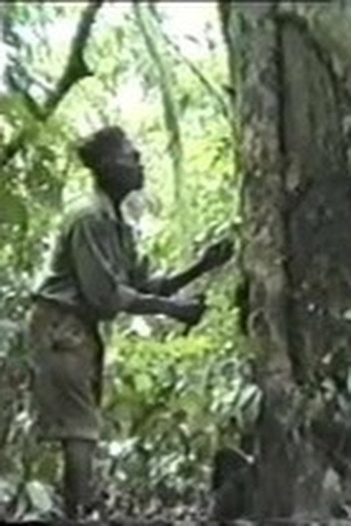 El Nganga y los Árboles Poster