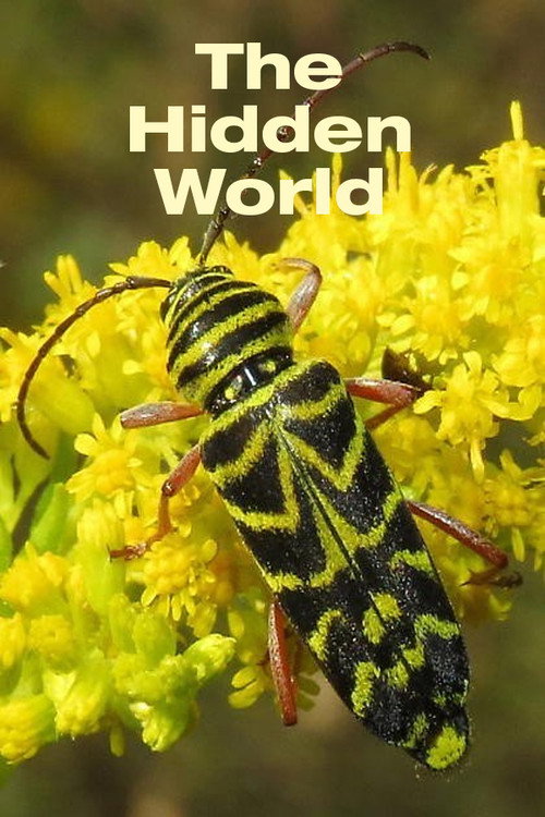The Hidden World Poster