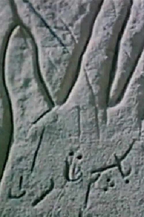 The Secrecy of an Open Palm Poster