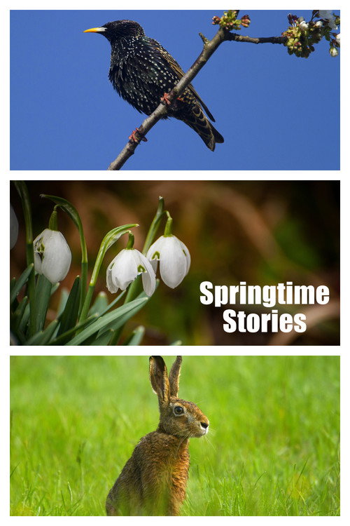 Springtime Stories Poster