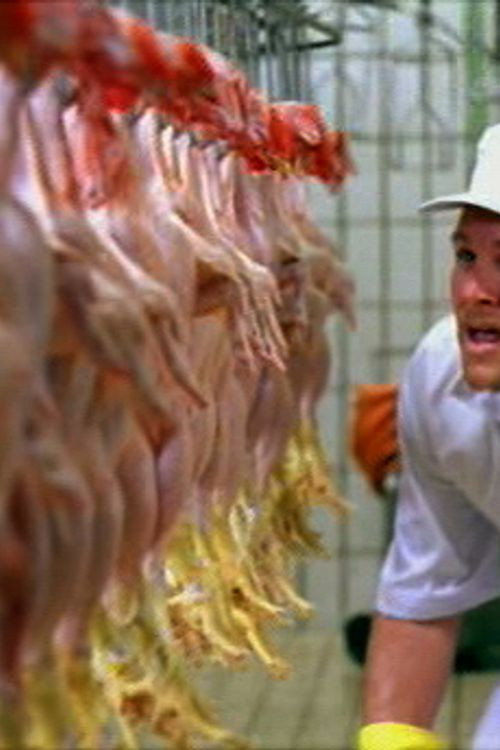 Porcos Corpos Poster