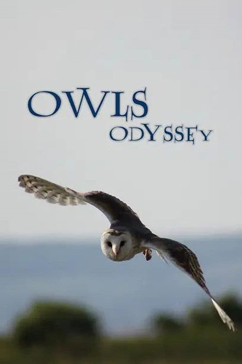 Owl's Odyssey Poster