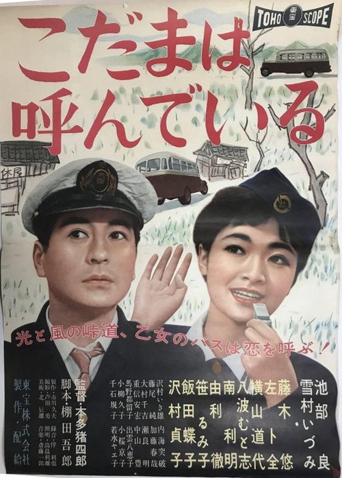 Echo Mountain Poster
