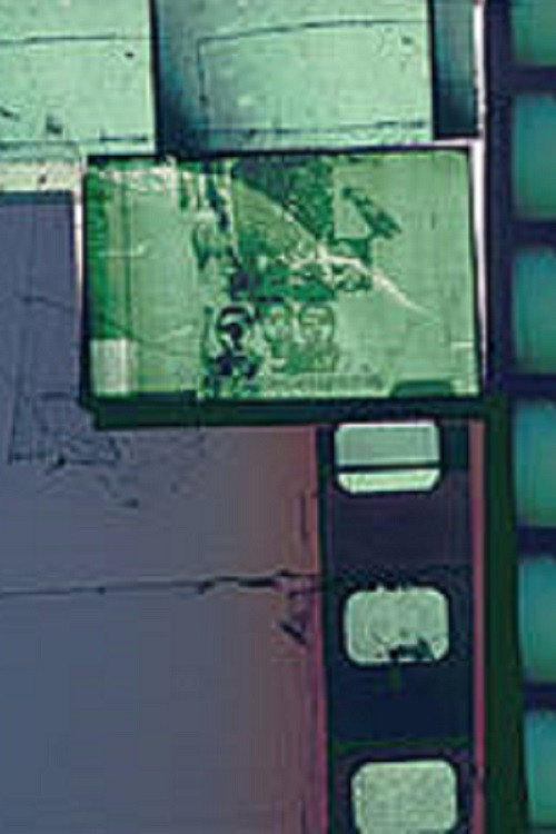 Und sie, sie liebte Raubtiere – tritt auch in den Garten Poster