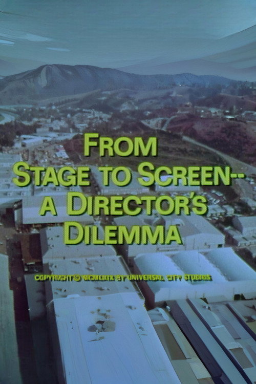 From Stage to Screen---A Director's Dilemma Poster