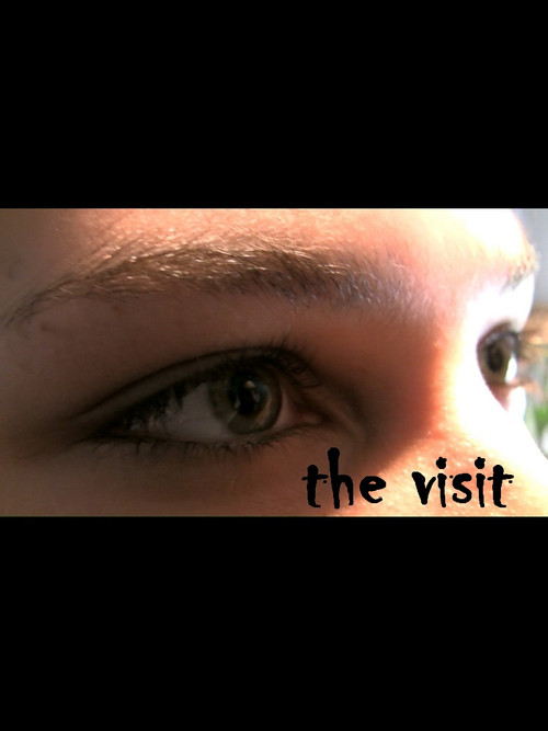 The Visit Poster