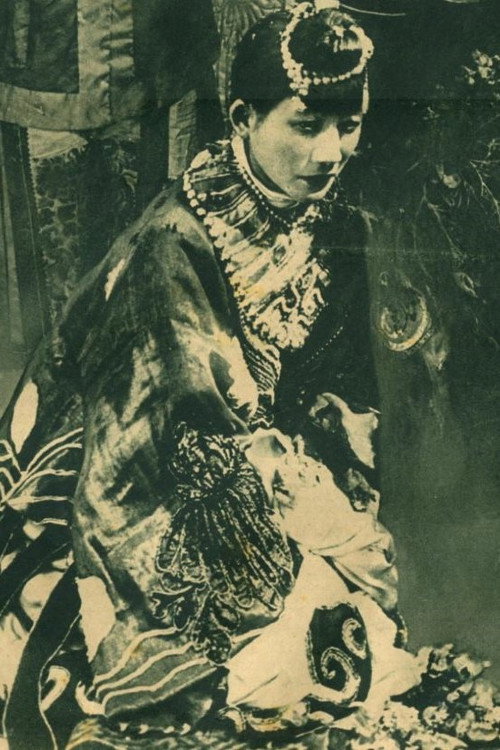 The Veil of Happiness Poster