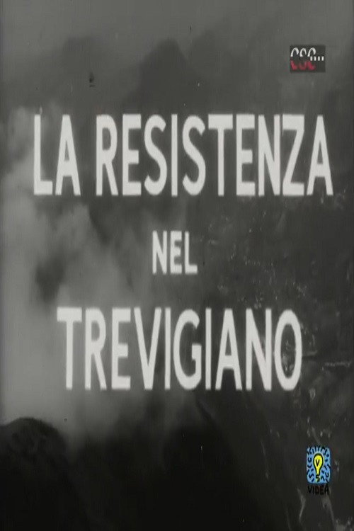 La resistenza nel Trevigiano Poster
