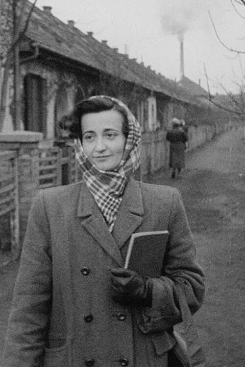 Everyday Stories Poster