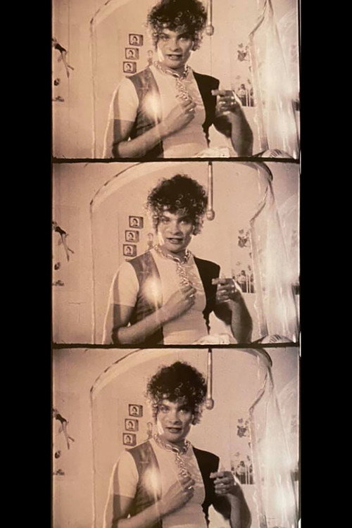 Andy Warhol's Unfinished Symphony Poster