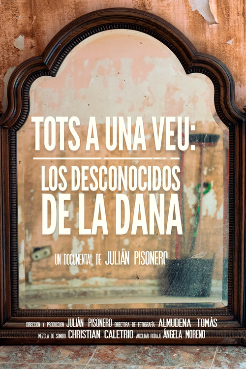 Tots a una veu: Los desconocidos de la DANA Poster