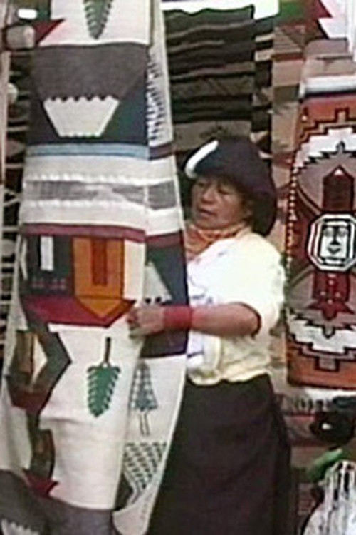 Weaving the Future Poster