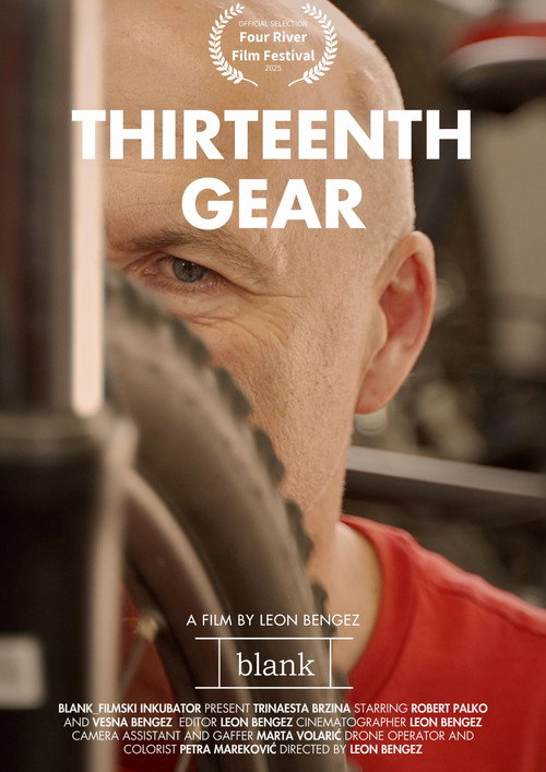Thirteenth gear Poster
