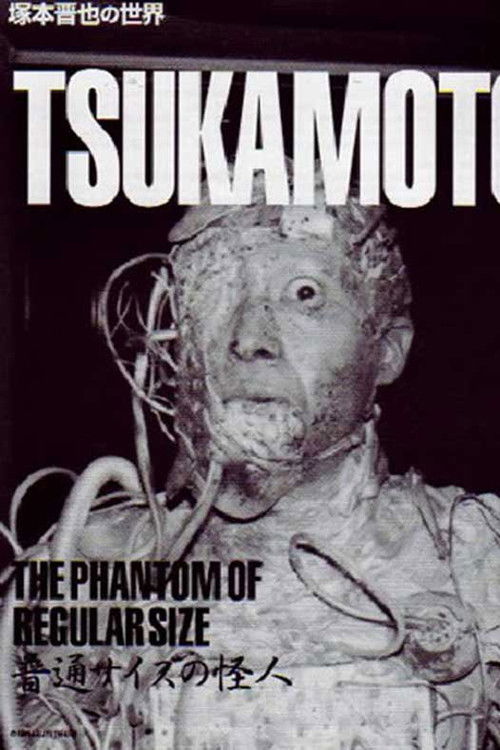 The Phantom of Regular Size Poster