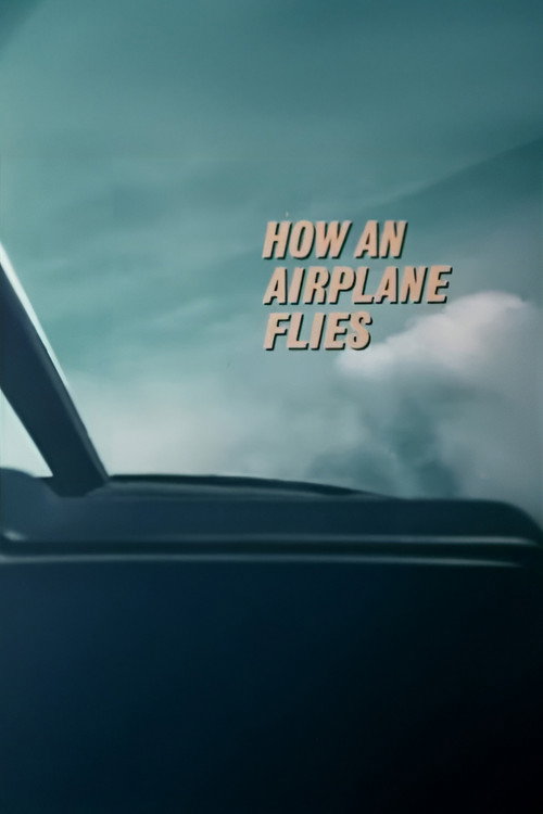 How An Airplane Flies Poster