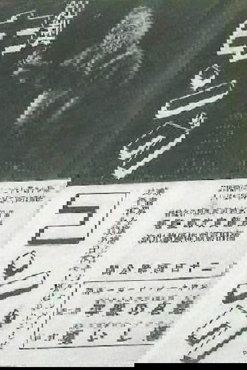 Japanese King Kong Poster