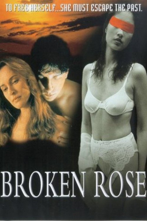 Broken Rose Poster