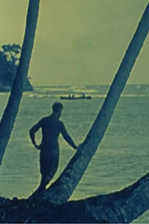 Tropical Nights Poster