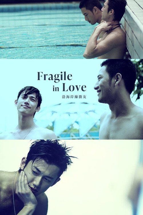 Fragile in Love Poster