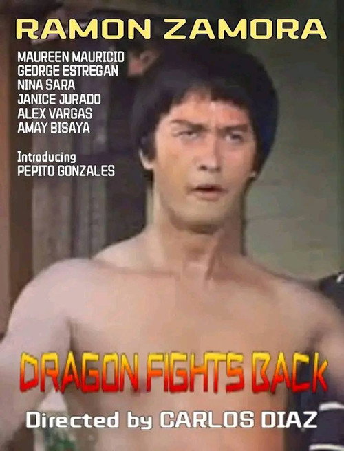 Dragon Fights Back Poster