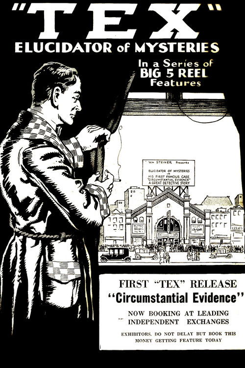 Detective Tex: Circumstantial Evidence Poster