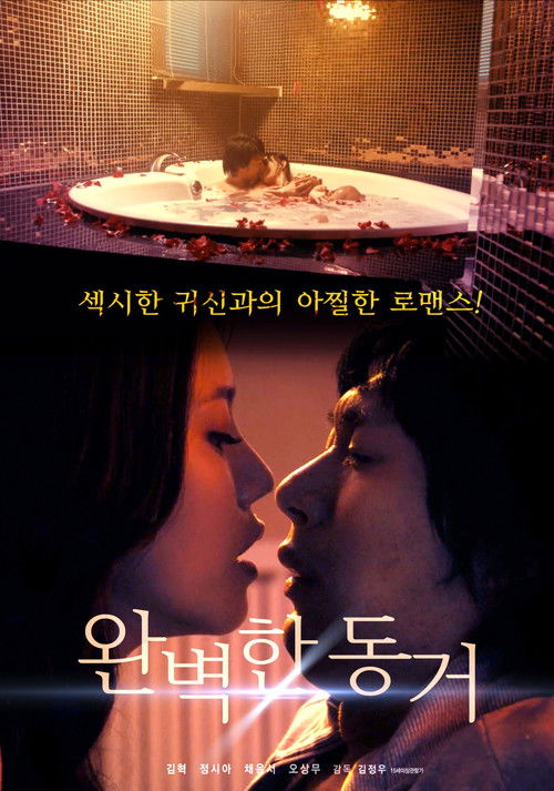 Perfect Cohabitation Poster