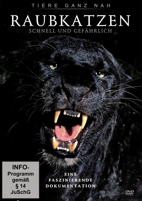 Big Cats: Fast and Dangerous Poster