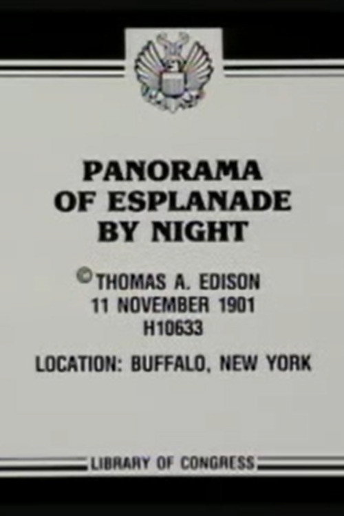 Panorama of Esplanade by Night Poster