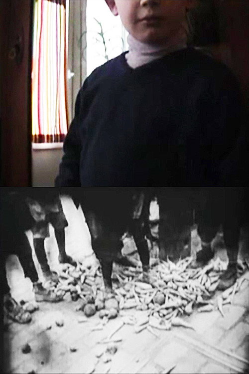 2 Home-Movies Poster