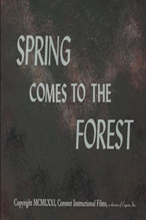 Spring Comes to the Forest Poster