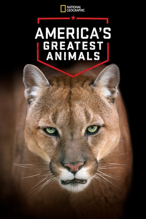 America's Greatest Animals Poster