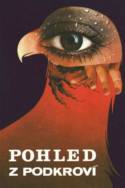 View from the Loft Poster