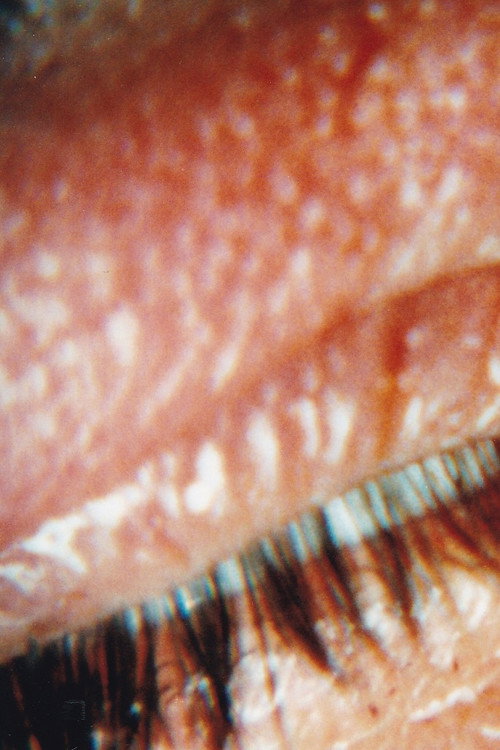 Mix-1 (32 Filme 1989-1994) Poster