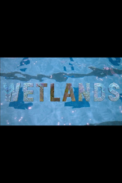 Wetlands Poster