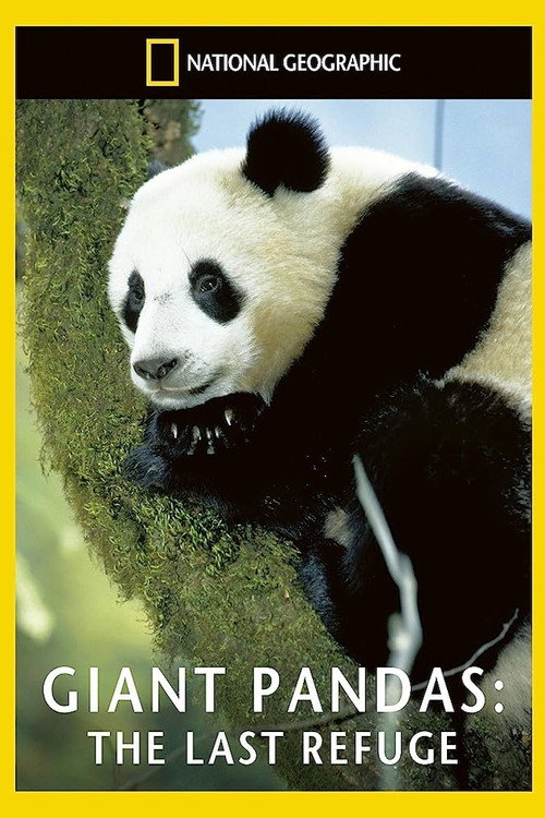 Giant Pandas: The Last Refuge Poster