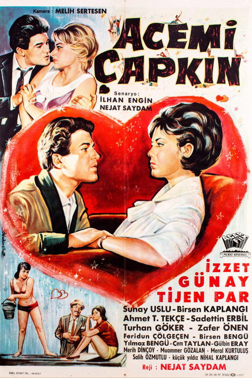 Acemi Çapkın Poster