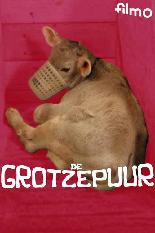De grotzepuur Poster