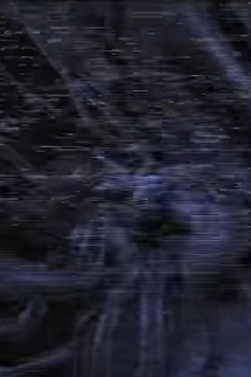 Predator Vision Poster