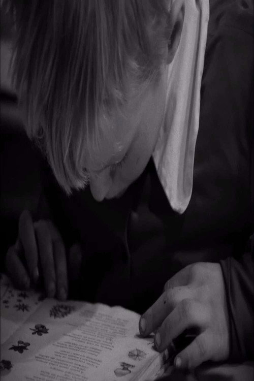 Road To School Poster