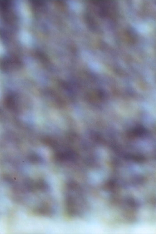 Gioconda/Film Poster