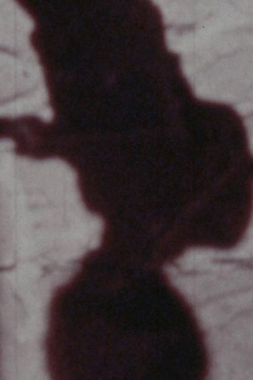 Señales de vida Poster