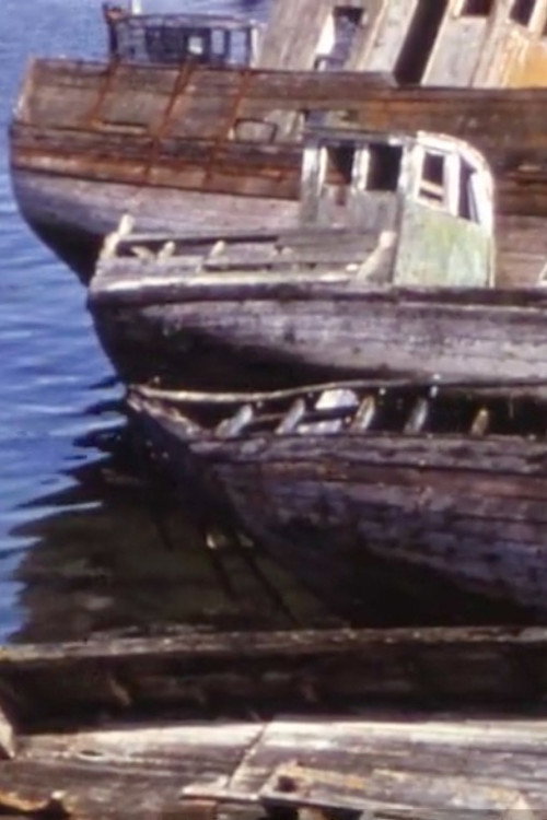 The island of the marine dead Poster